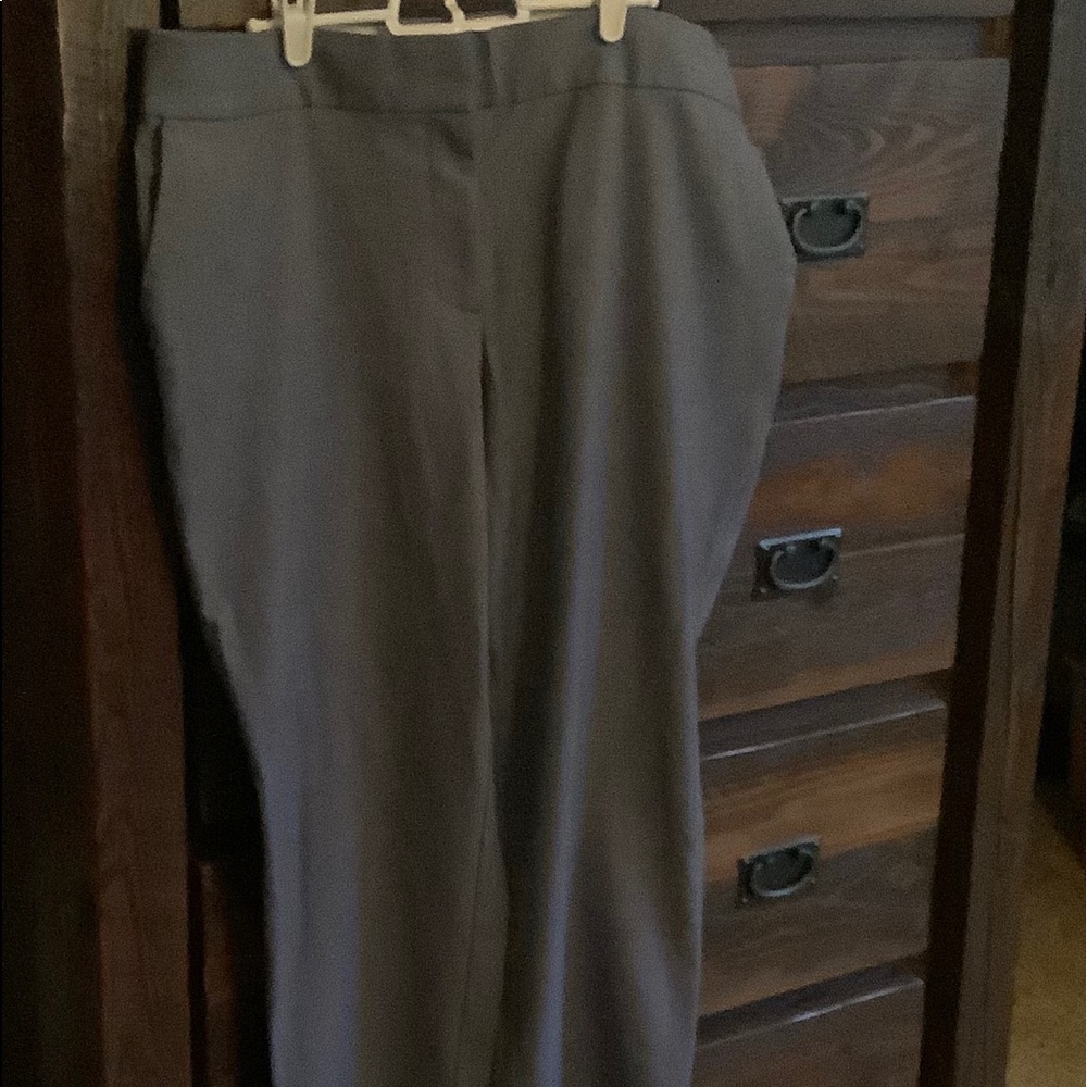 Dress Pants